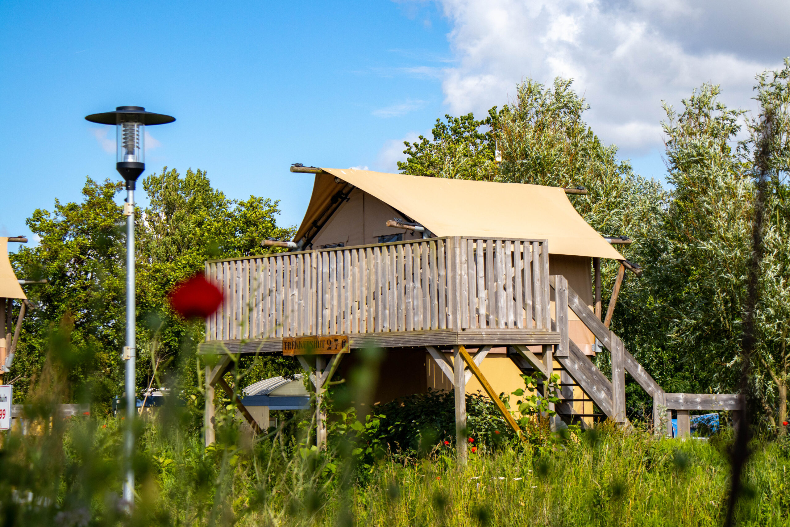 FotografieMyrtheVanNoort-12