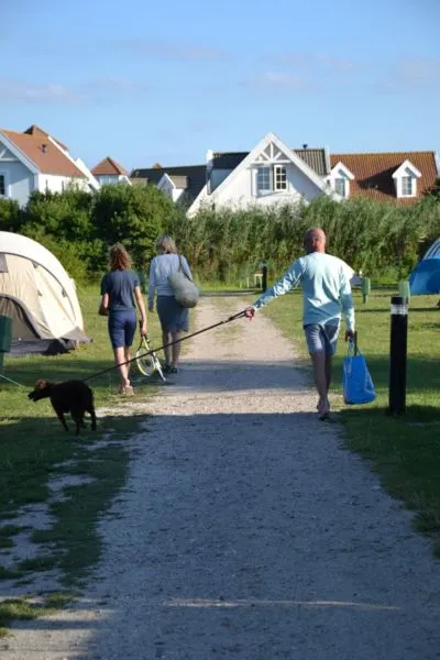 camping met animatie nederland
