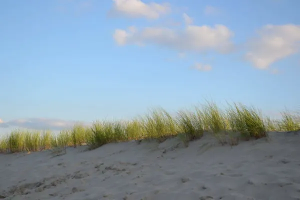 Duinen bij Strandpark Vlugtenburg